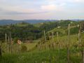 16 steiermark 037